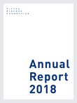 Годовой отчет 2018